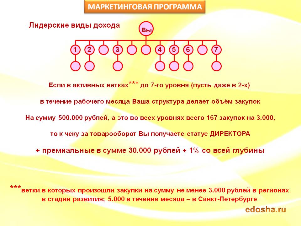 Статус Директор: товарооборот 500 000 руб./мес.
