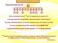 Статус Директор: товарооборот 500 000 руб./мес.