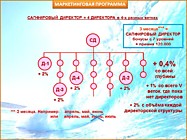 Сапфировый Директор